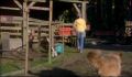 dr dolittle 3-avi_502.jpg